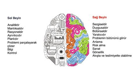 Analitik Zeka Nedir?