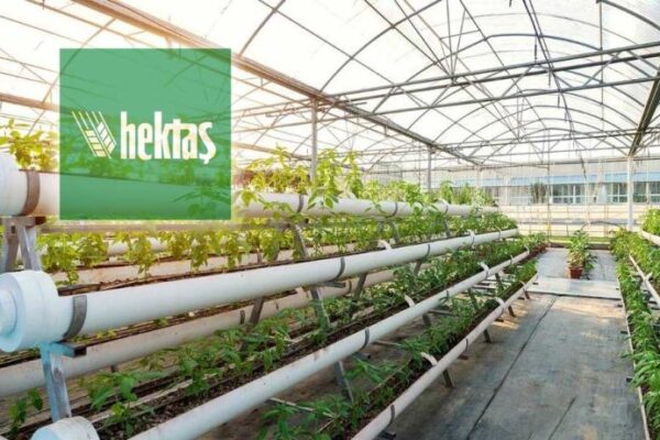 Hektaş, 15 Milyar TL'ye Kadar Borç Alma İzni Aldı