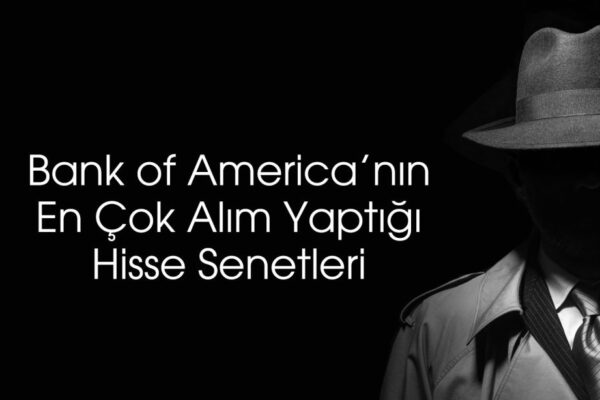 BofA’dan havacılık hissesinde 514 milyon TL’lik alım