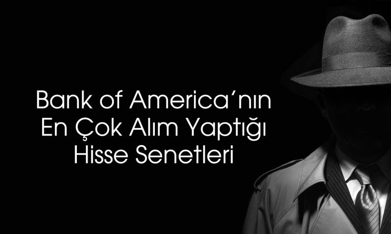 BofA’dan havacılık hissesinde 514 milyon TL’lik alım